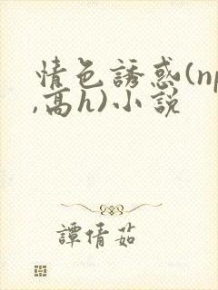 情色诱惑(np,高h)小说