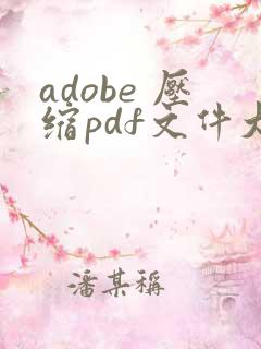adobe 压缩pdf文件大小