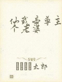 仙武帝尊主角几个老婆