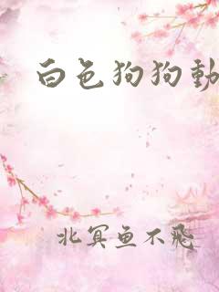 白色狗狗动画片