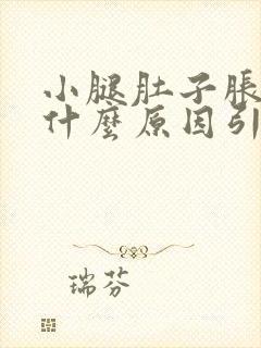 小腿肚子胀痛是什么原因引起的