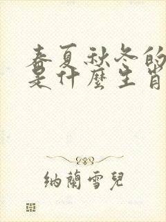 春夏秋冬的动物是什么生肖