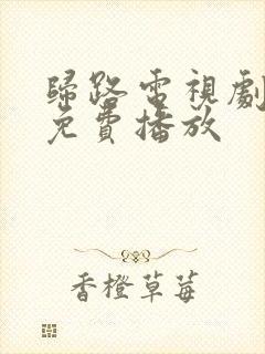 归路电视剧全集免费播放