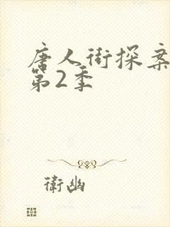 唐人街探案网剧第2季