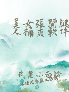 美女张开腿让男人桶爽软件