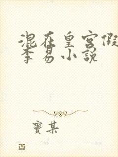 混在皇宫假太监李易小说