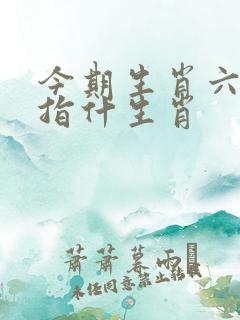 今期生肖六六来指什生肖