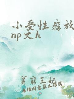 小受性瘾放荡的np文h