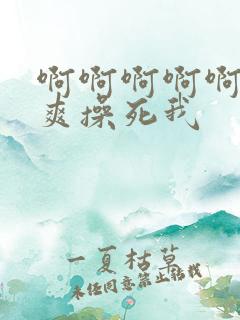 啊啊啊啊啊啊好爽操死我