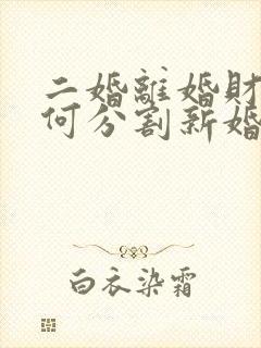 二婚离婚财产如何分割新婚姻法