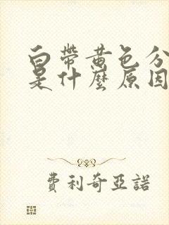 白带黄色分泌物是什么原因