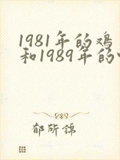1981年的鸡和1989年的蛇合婚吗