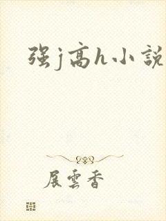 强j高h小说