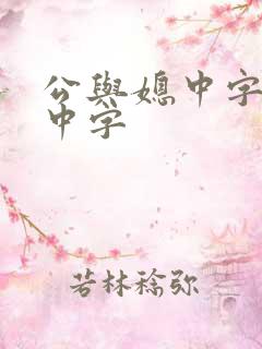 公与媳中字hd中字
