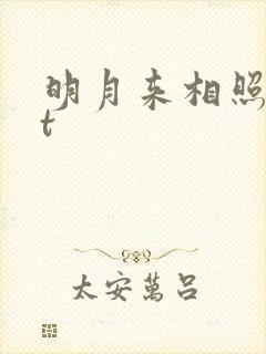 明月来相照txt