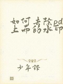 如何去除pdf上面的水印
