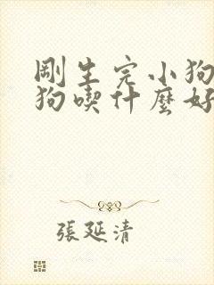 刚生完小狗的母狗吃什么好