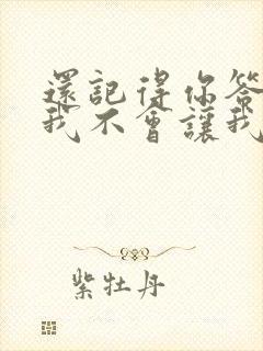 还记得你答应过我不会让我找不见是什么歌
