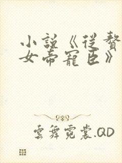 小说《从赘婿到女帝宠臣》