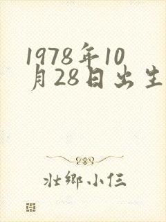 1978年10月28日出生算命