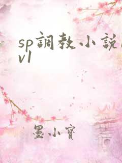 sp调教小说1v1