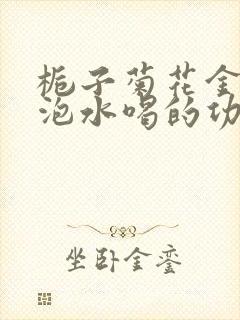栀子菊花金银花泡水喝的功效