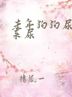老年狗狗尿不出来尿
