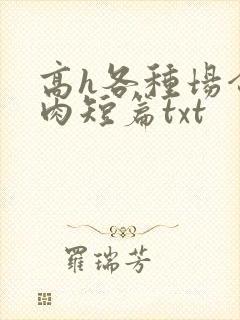 高h各种场合全肉短篇txt