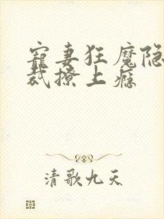 宠妻狂魔隐婚总裁撩上瘾