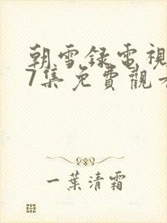 朝雪录电视剧17集免费观看