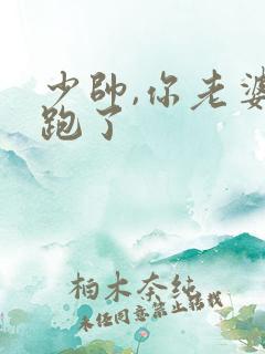 少帅,你老婆又跑了