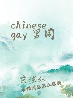 chinesegay 男同
