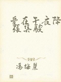 爱在午夜降临前 张集骏