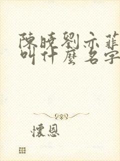 陈晓刘亦菲新剧叫什么名字