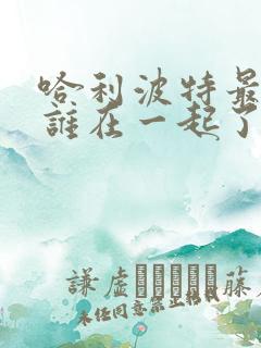 哈利波特最后和谁在一起了?