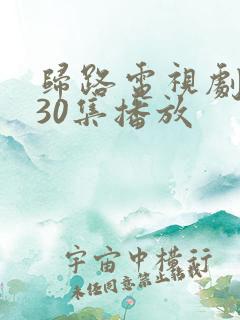 归路电视剧全集30集播放