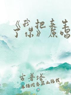 《我把来生许给了你》原唱