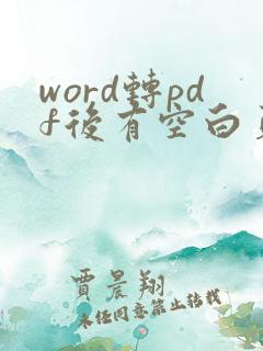 word转pdf后有空白页怎么处理