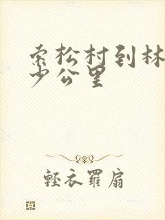 索松村到林芝多少公里