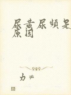 尿黄尿频是什么原因