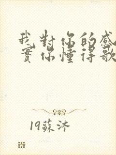 我对你的感觉其实你懂得歌词