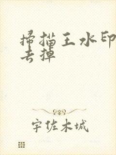 扫描王水印怎么去掉