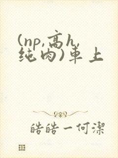 (np,高h,纯肉)车上