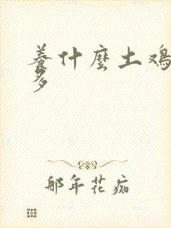 养什么土鸡下蛋多