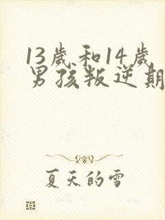 13岁和14岁男孩叛逆期怎么办