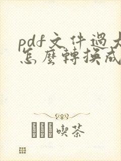 pdf文件过大怎么转换成word