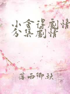 小舍得剧情介绍分集剧情