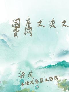 国产又爽又黄免费网
