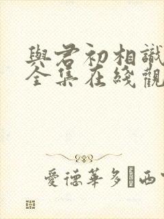 与君初相识免费全集在线观看