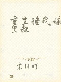 重生后我嫁给了皇叔